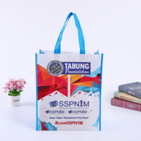 IW4000 Laminated non-woven bag